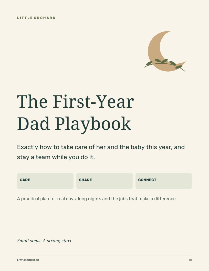 The First-Year Dad Playbook cover